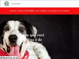 Sites similar to adoteumfocinho.com.br