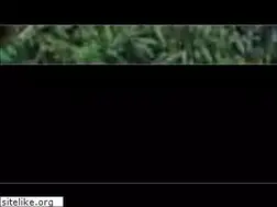 Sites similar to adrenalin.gl
