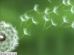 Sites similar to adrianatakahashi.com.br