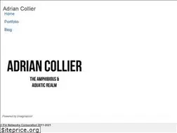 Sites similar to adriancollier.com