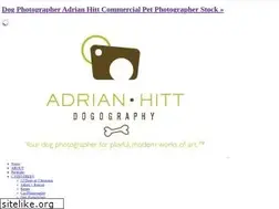 Sites similar to adrianhitt.com