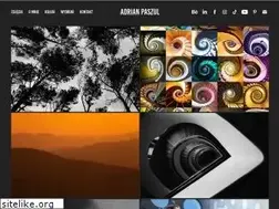 Sites similar to adrianpaszul.art