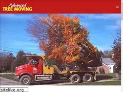 Sites similar to advancedtreemoving.com
