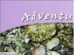 Sites similar to adventuress.ca
