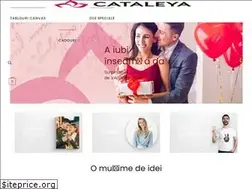Sites similar to advertisingcataleya.ro