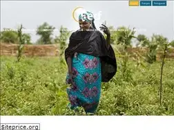 Sites similar to aecfafrica.org