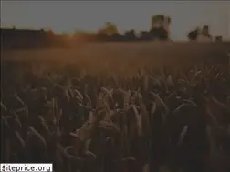Sites similar to aero.agrimatics.com
