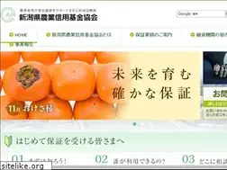 Sites similar to afa-niigata.or.jp