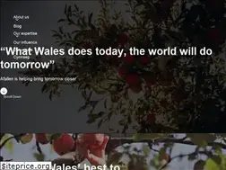 Sites similar to afallen.cymru