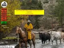 Sites similar to afet-western.com