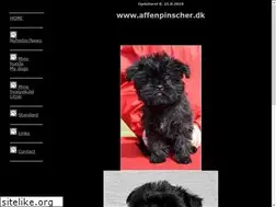 Sites similar to affenpinscher.dk