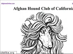 Sites similar to afghansonline.com