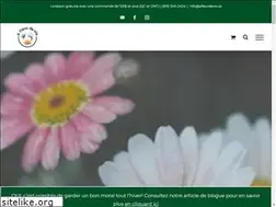 Sites similar to afleurdevie.ca