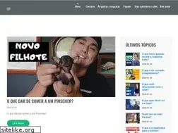 Sites similar to afontedeinformacao.com