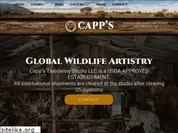 Sites similar to african-montana-taxidermy.com