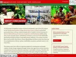 Sites similar to africancashewinitiative.com