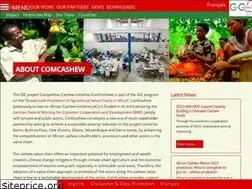 Sites similar to africancashewinitiative.org