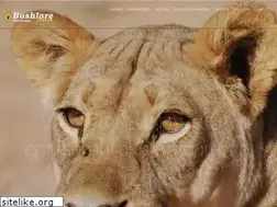 Sites similar to africasafari.it
