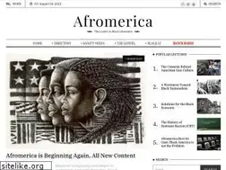Sites similar to afromerica.com