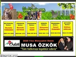 Sites similar to afsinyedisevin.com
