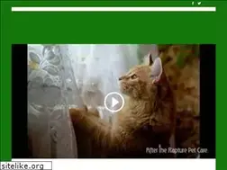 Sites similar to aftertherapturepetcare.com