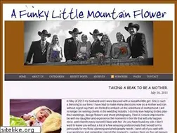 Sites similar to afunkylittlemountainflower.com