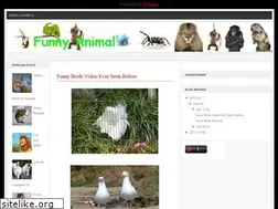 Sites similar to afunnyanimal.blogspot.com