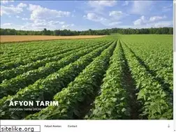 Sites similar to afyontarim.com