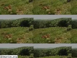Sites similar to agadir.own0.com