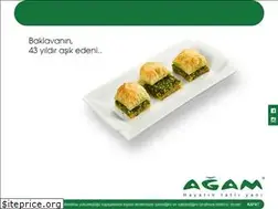 Sites similar to agam.com.tr