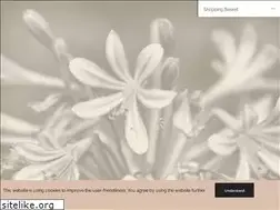 Sites similar to agapanto.com
