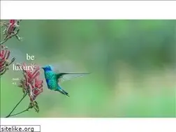 Sites similar to agenceluxury.com