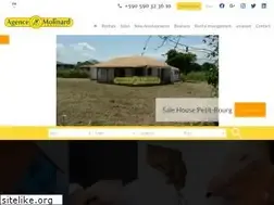 Sites similar to agencemolinard.com