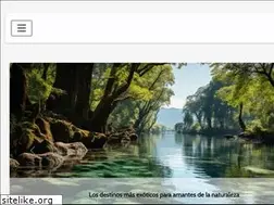 Sites similar to agenciatimon.com