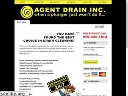 Sites similar to agentdrain.com