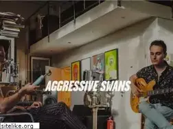 Sites similar to aggressiveswans.com