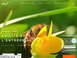 Sites similar to agilbee.com
