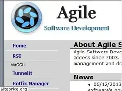Sites similar to agile-software-development.com