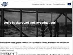 Sites similar to agilebackground.com