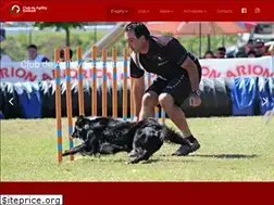 Sites similar to agilityeuskadi.com