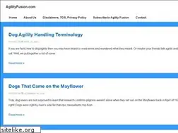 Sites similar to agilityfusion.com
