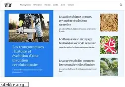 Sites similar to agilitynut.com