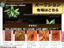 Sites similar to aglaonemahonpo.com