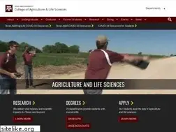 Sites similar to aglifesciences.tamu.edu