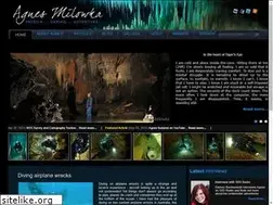 Sites similar to agnesmilowka.com