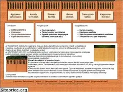 Sites similar to agocsker.hu