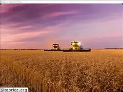 Sites similar to agricore.com