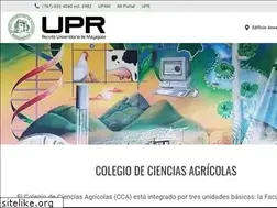 Sites similar to agricultura.uprm.edu