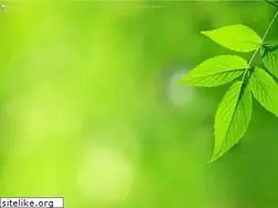 Sites similar to agrifarmideas.blogspot.com