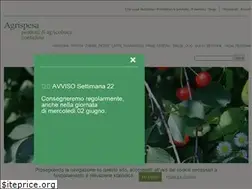 Sites similar to agrispesa.it